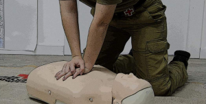 Formação